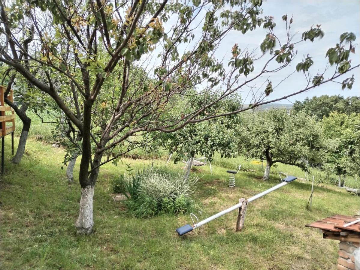 Maj1 Villa Kladovo Eksteriør bilde